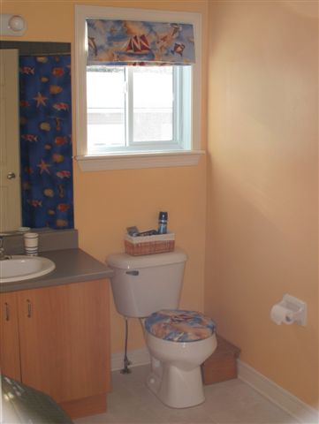 Nautical Bathroom ..Roman shade
