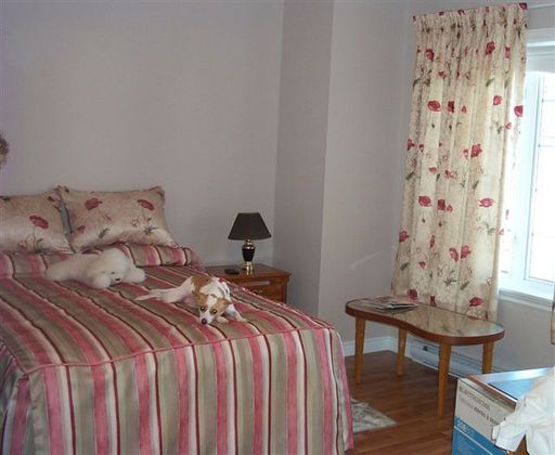 Bed cover and drapes
